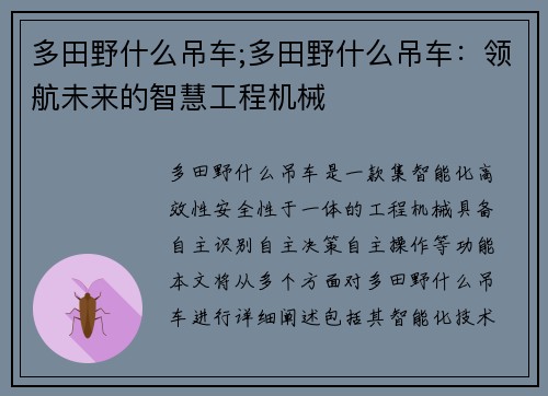 多田野什么吊车;多田野什么吊车：领航未来的智慧工程机械