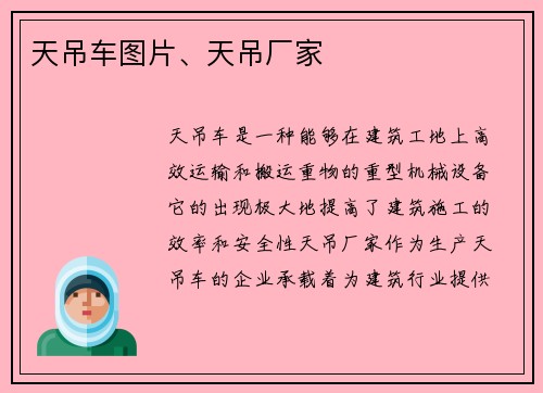 天吊车图片、天吊厂家
