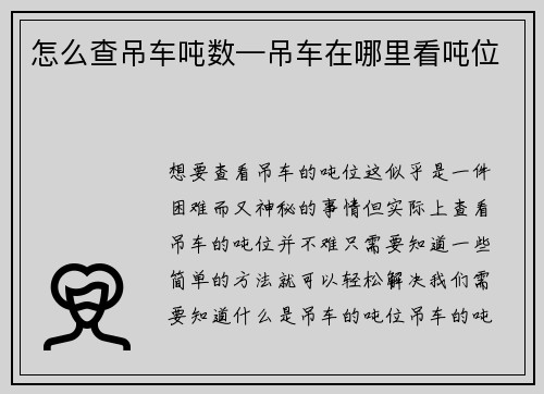 怎么查吊车吨数—吊车在哪里看吨位