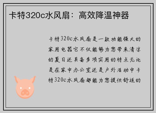 卡特320c水风扇：高效降温神器