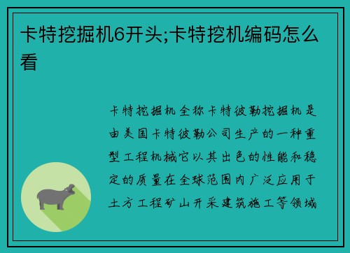 卡特挖掘机6开头;卡特挖机编码怎么看